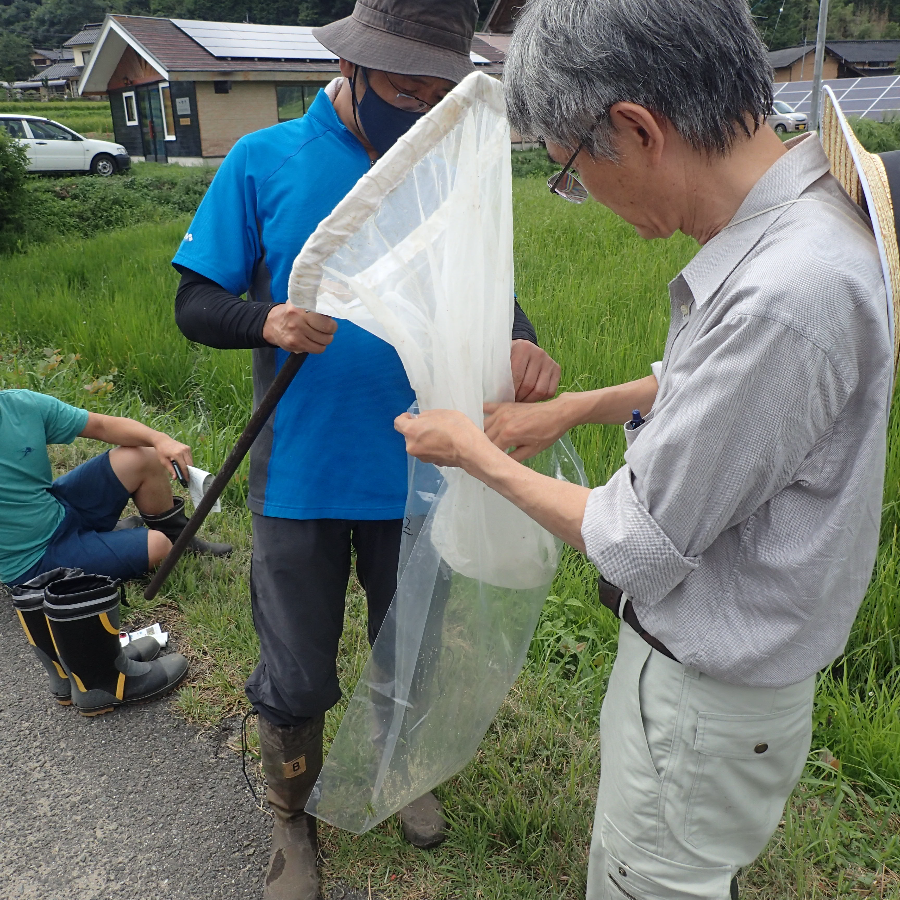 生物多様性調査